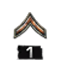 http://www.mlwgames.com/badcompany2/img/ranks/1.png