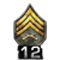 http://www.mlwgames.com/badcompany2/img/ranks/12.png