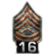 http://www.mlwgames.com/badcompany2/img/ranks/16.png