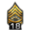 http://www.mlwgames.com/badcompany2/img/ranks/18.png