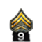 http://www.mlwgames.com/badcompany2/img/ranks/9.png